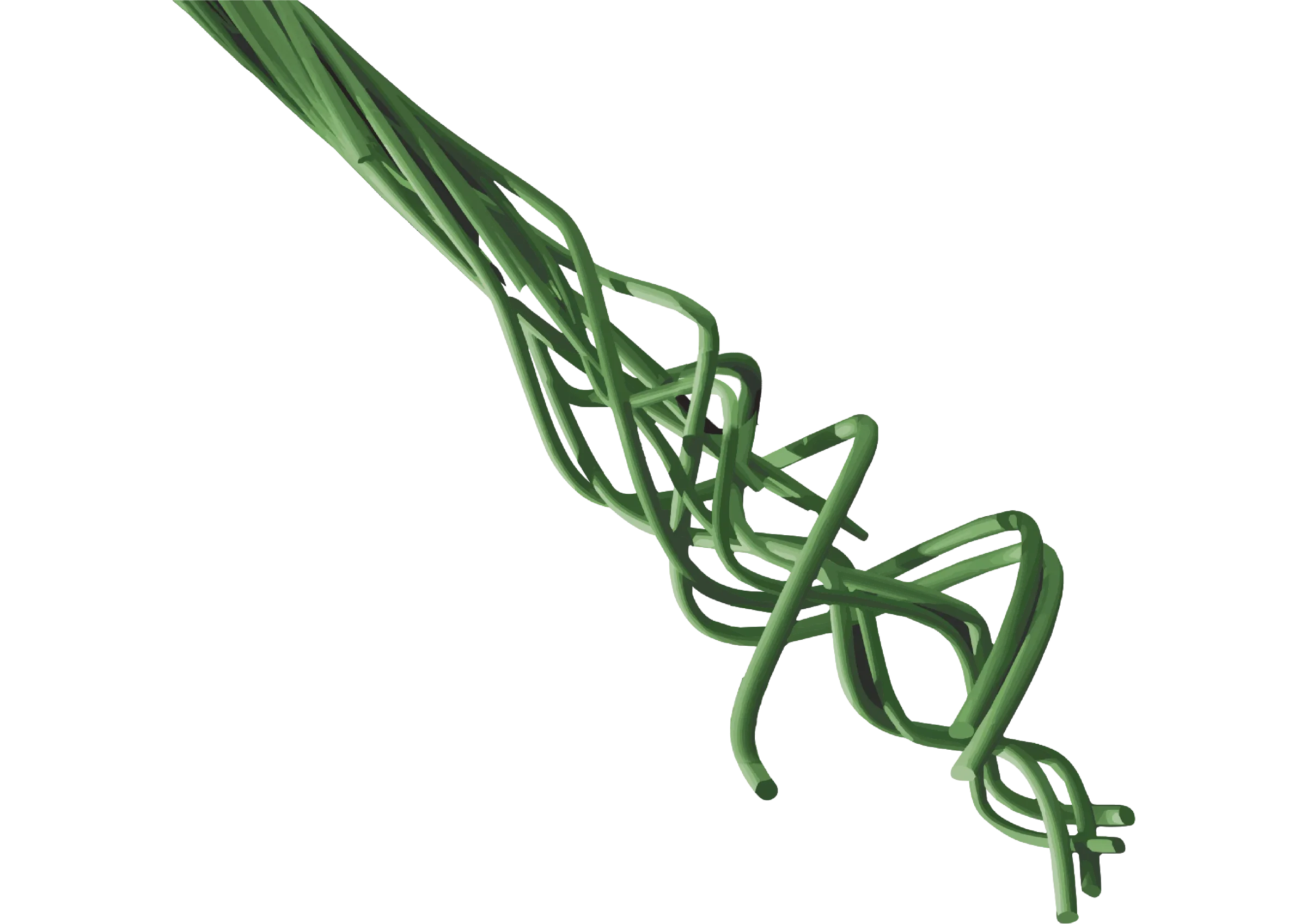 DPX® regenerative fiber — fiber diagram